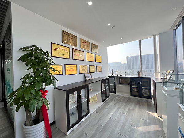 论中国企业市场的擅长能力？ 你知道是什么吗？