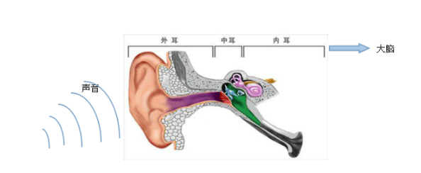 戴助听器有副作用么？