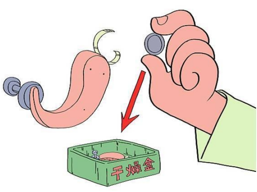 助听器使用中受潮了该如何保养与维护